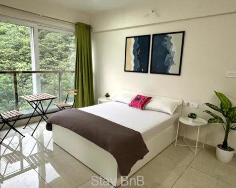 Studio Service Apartment Near Baner Pashan Road, Pune